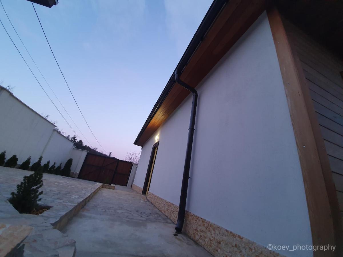 バルチク Albena Dream Houseヴィラ エクステリア 写真