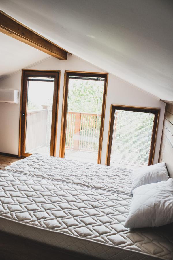 バルチク Albena Dream Houseヴィラ エクステリア 写真